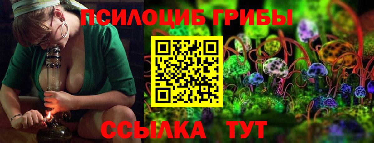 Галлюциногенные грибы Psilocybine cubensis  Вход с VPN  Грязи  Галлюциногенные грибы Psilocybe 